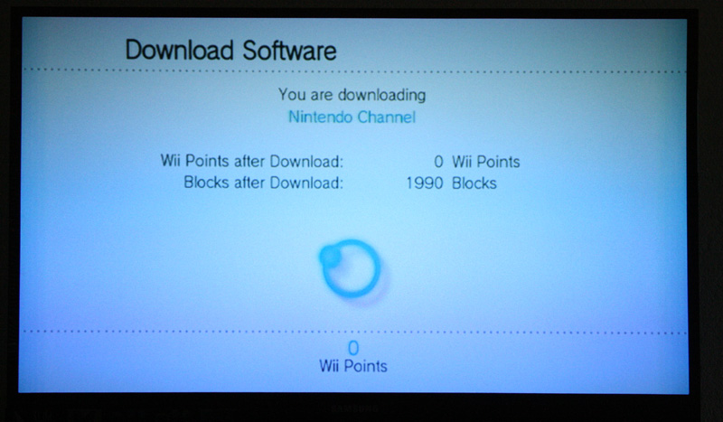 Illustration for article titled Nintendo Wii's Nintendo Channel Screenshot Tour and Hands-on